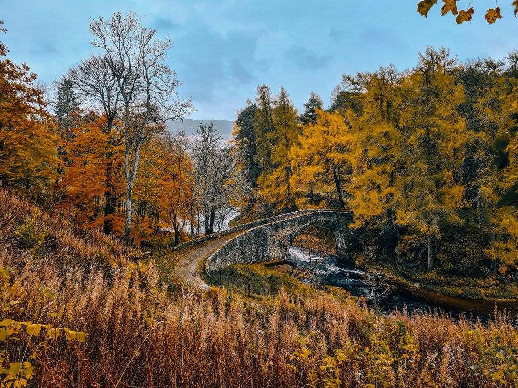 Stone bridge crossing over a river surrounded by yellow and orange autumn leaves