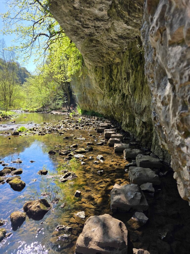 A shallow river next to limestone cliffs and lots of trees with stepping stones along the right side below the cliff